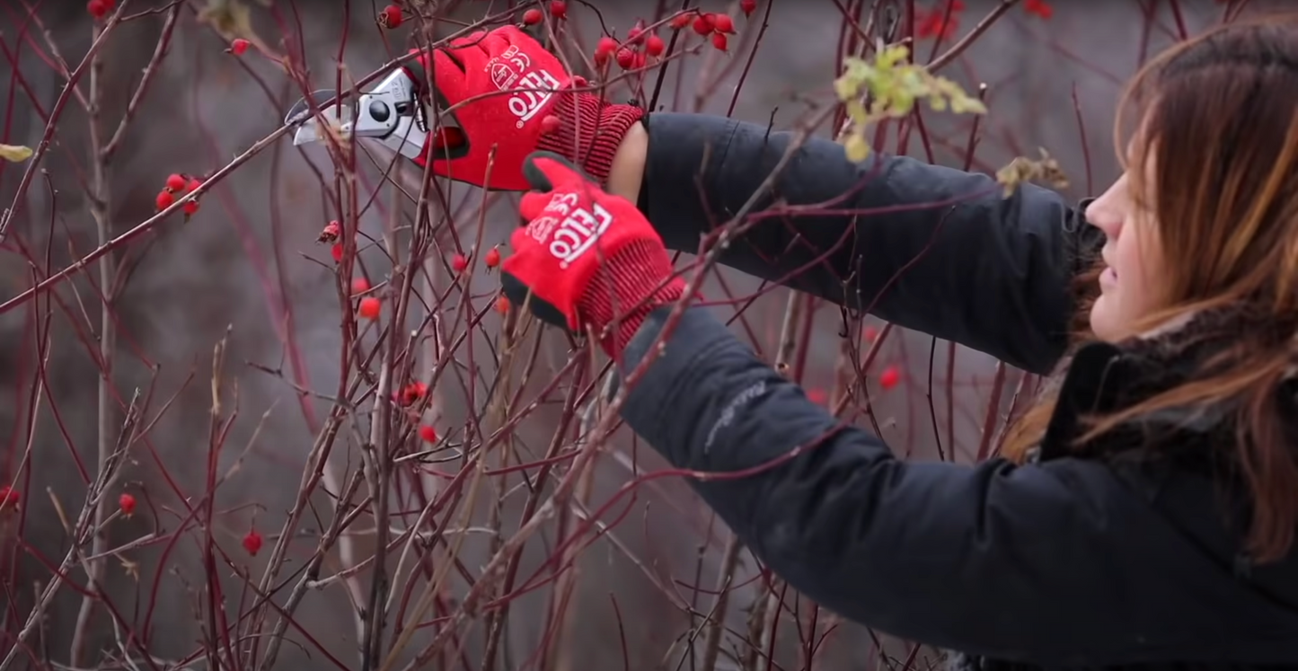 FELCO 2 Classic Pruning Shears